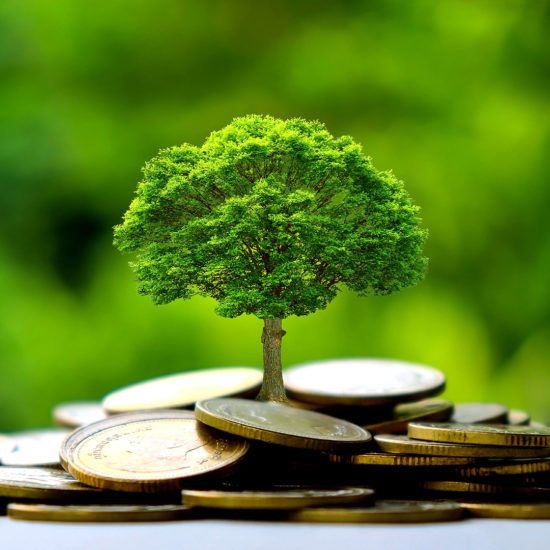 investimenti-sostenibili_terzo