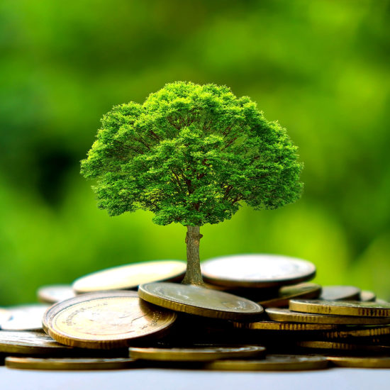 investimenti-sostenibili_terzo investimenti-sostenibili_terzo